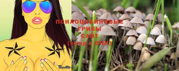 дурь Абдулино